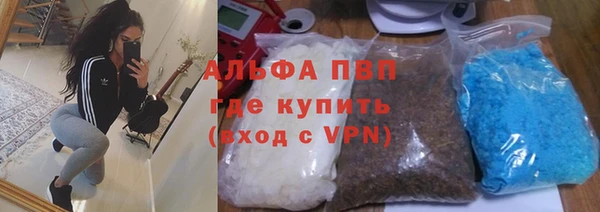 спиды Алзамай