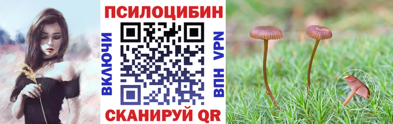 Галлюциногенные грибы прущие грибы Севастополь